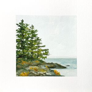 8x8 PNW Original Oil Painting Olympic National Park Pacific Coastal Pines Signed